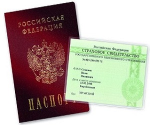 паспорт снилс