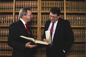 два адвоката